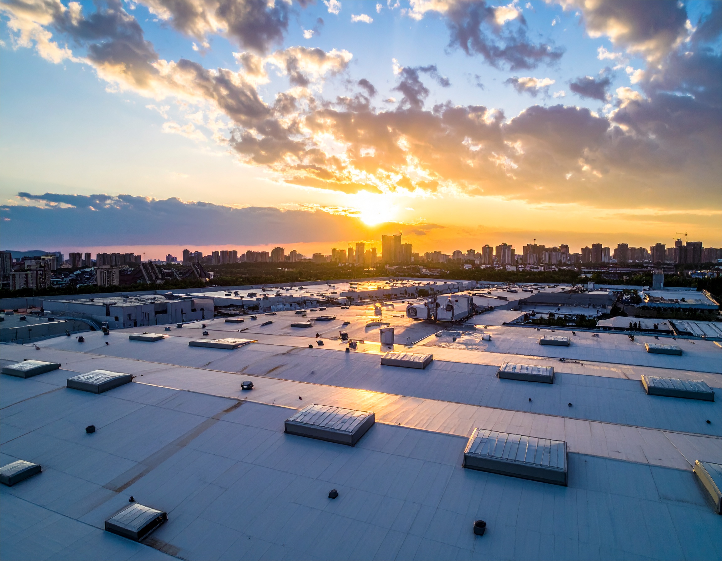 Firefly Large Warehouse Rooftop View 786191